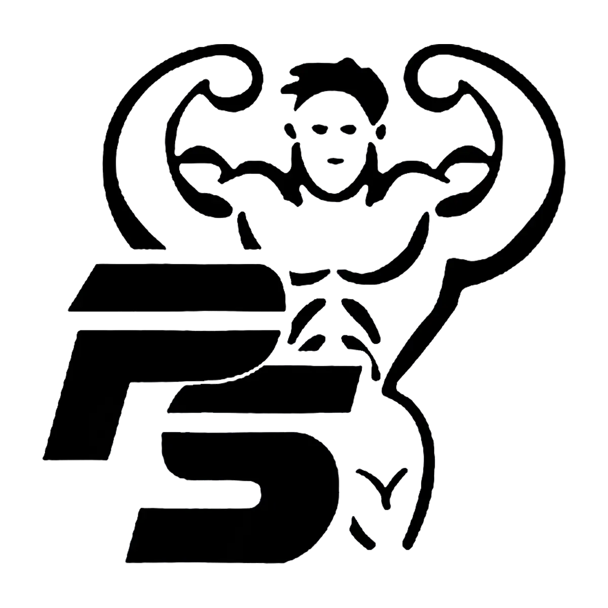 Pansport logo